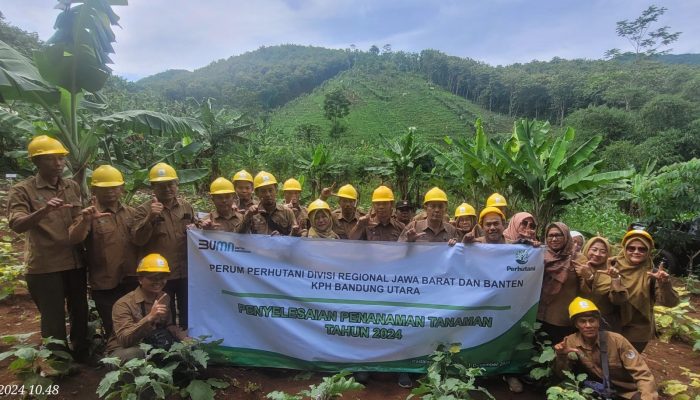 Perhutani Kesatuan Pemangkuan Hutan (KPH) Bandung Utara Gelar Kegiatan Penanaman Pohon Bersama Masyarakat