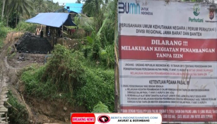 Tambang Batu Bara llegal Kembali Beroperasi Di Lahan Perhutani Cihara