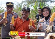 Keberhasilan Program Ketahanan Pangan Nasional : Sinergi Kolaboratif Menuju Swasembada Jagung 2025  
