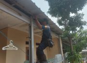 Biawak yang bikin resah Warga Perumahan BCD Cilebut Barat Damkar Kabupaten Bogor Turun Tangan