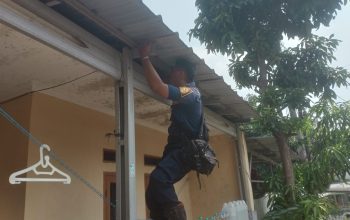 Biawak yang bikin resah Warga Perumahan BCD Cilebut Barat Damkar Kabupaten Bogor Turun Tangan