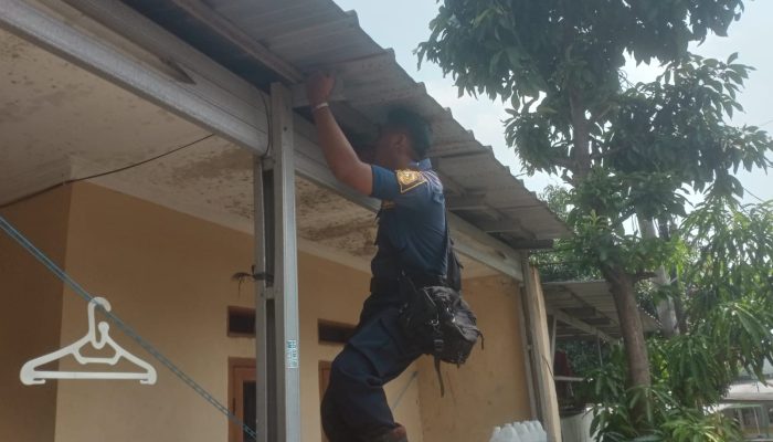 Biawak yang bikin resah Warga Perumahan BCD Cilebut Barat Damkar Kabupaten Bogor Turun Tangan