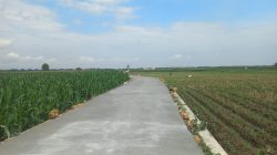 Betonisasi Jalan Desa Godo Rampung 100 Persen, Harapan Baru bagi Petani dan Warga