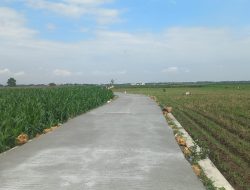 Betonisasi Jalan Desa Godo Rampung 100 Persen, Harapan Baru bagi Petani dan Warga