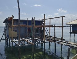 Renovasi RTLH Desa Umbele Memasuki Tahap Pemasangan Tiang Rumah Ibu Samsia