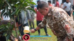 Hijaukan Pakansari, Rudy Susmanto Ajak Warga Jaga 2.000 Pohon yang Baru Ditanam