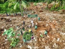 Satgas TMMD Ke-129 Kodim 1311/Morowali Bersama Warga Laksanakan Penanaman Bibit untuk Dukung Ketahanan Pangan