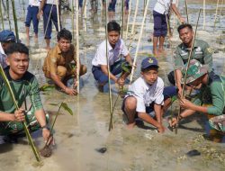 Satgas TMMD Ke-129 Kodim 1311/Morowali Bersama Warga Tanam 1.000 Pohon Mangrove di Kepulauan Umbele