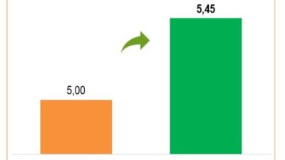 BPS Ungkap Konsumsi, Investasi, dan Belanja Pemerintah Jadi Motor Pertumbuhan Ekonomi Semester I-2026